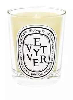 Ароматическая свеча Diptyque VTYVER