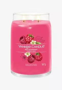 Ароматическая свеча Signature Large Jar Red Raspberry Yankee Candle, красный