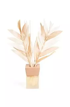 Ароматический диффузор Cinnamon Scent 50 мл Helio Ferretti, мультиколор