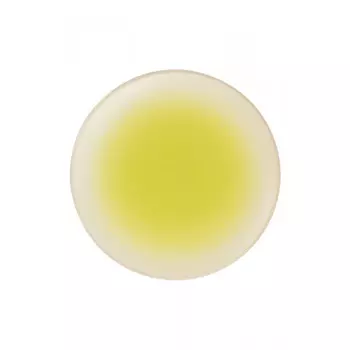 ASA Koi by Tim Raue Десертная тарелка 19 см ASA SELECTION, желтый