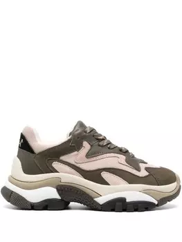 Ash кроссовки Addict, зеленый