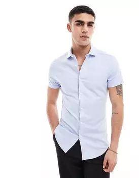 ASOS DESIGN – Голубая рубашка Royal Oxford с воротником акулы и приталенным кроем