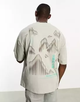 ASOS DESIGN – Серая футболка оверсайз с принтом в виде горного пейзажа на спине и спереди