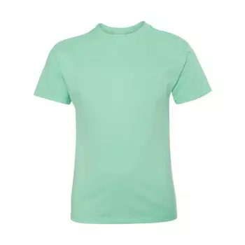 Аутентичная молодежная футболка Hanes, цвет Clean Mint