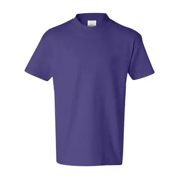 Аутентичная молодежная футболка Hanes, фиолетовый