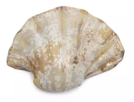 Аксессуары для дома loul shell Rivira Maison, бежевый