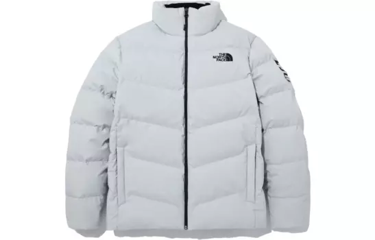 Back In Blue Series Пуховик мужской серый The North Face, серый