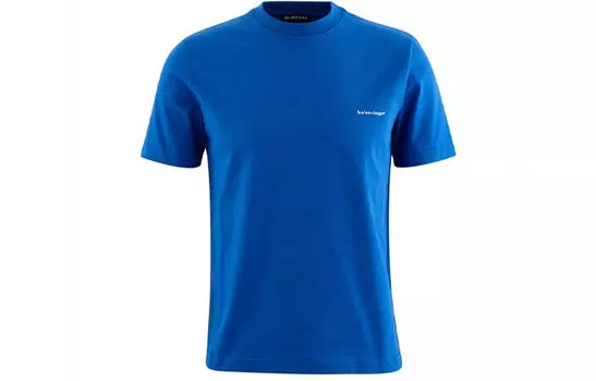 Мужская футболка Balenciaga, синий