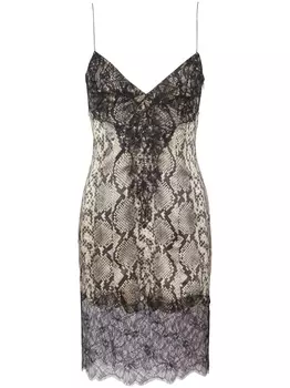 Balmain кружевное платье мини со змеиным принтом, черный