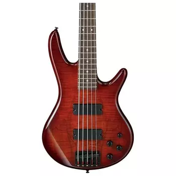 Бас-гитара Ibanez GSR205SMCNB