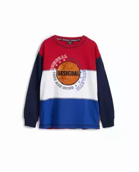 Баскетбольная майка для мальчика Desigual, синий