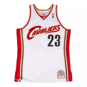 Баскетбольное джерси Mitchell & Ness NBA Authentic Jersey 'Cleveland Cavaliers - LeBron James2003/04'