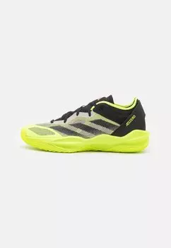 Баскетбольные кроссовки Adizero Select 2.0 Adidas, цвет putty grey/core black/lucid lemon