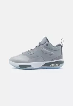 Баскетбольные кроссовки JORDAN STAY LOYAL 3 UNISEX, цвет wolf grey/cool grey/white