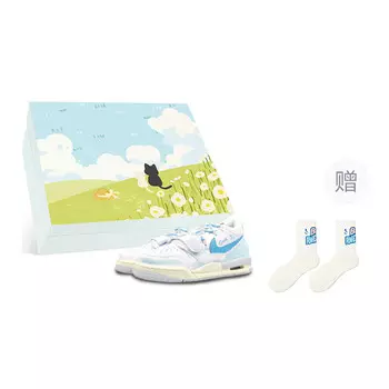 Баскетбольные кроссовки Legacy 312 Vintage Men Low-Go White/Blue Jordan