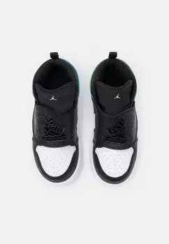 Баскетбольные кроссовки Sky 1 Unisex Jordan, черный/тропический твист/белый