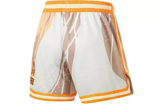 Баскетбольные шорты CBA Collection Men Rock White Grey Lining, серый
