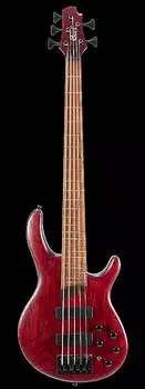 Басс гитара Cort B5ELEMENTOPBR Bolt-On Construction Mahogany Body 5Pcs Walnut & Panga Panga 5-String Bass Guitar