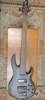 Басс гитара ESP LTD B-205SM 2022 See Thru Black Satin