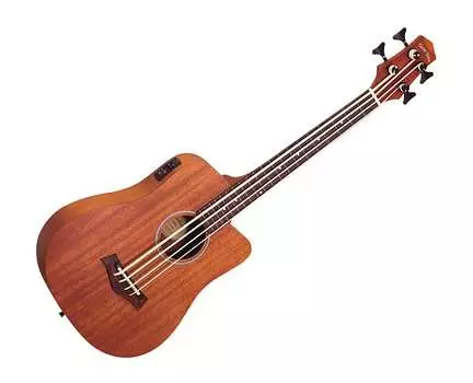 Басс гитара Gold Tone M-Bass/FL Fretless 23" Scale Microbass