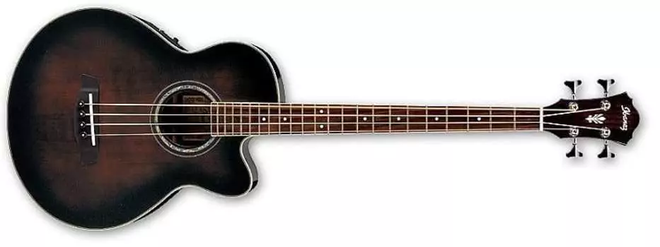 Басс гитара Ibanez AEB10E Acoustic-Electric Bass Guitar(New)