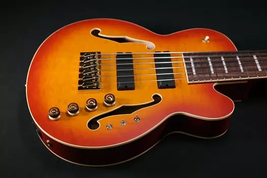 Басс гитара Ibanez TCB1006ALM Stephen