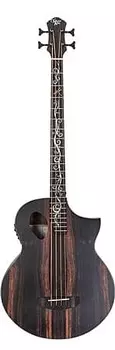 Басс гитара Michael Kelly Dragonfly 4 Port Acoustic Electric Bass Guitar Java Ebony