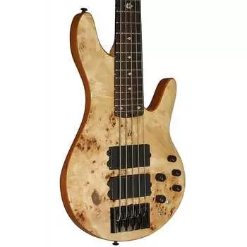 Басс гитара Michael Kelly Pinnacle 5 5-String Bass Guitar