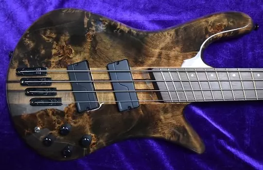 Басс гитара Spector NS Dimension 4-String, Faded Black Gloss Over Poplar Burl / Wenge Fingerboard