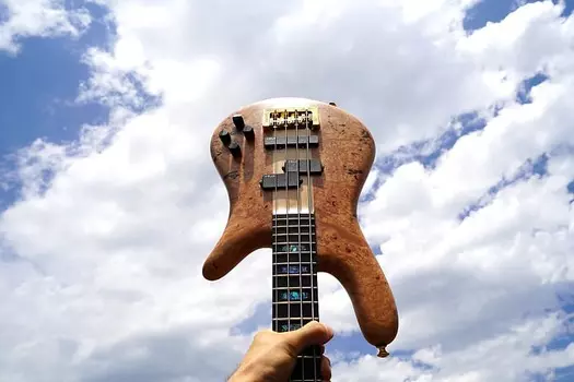 Басс гитара Spector USA NS-2 - Maple Burl Matte Finish 4-String Electric Bass Guitar w/ Black Tolex Case