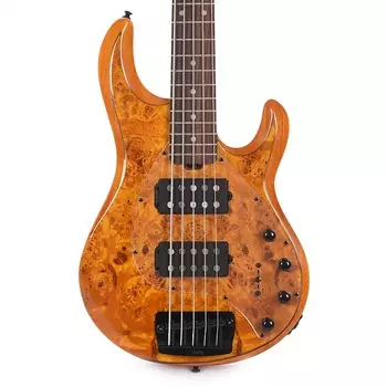 Басс гитара Sterling by Music Man StingRay RAY35 HH Poplar Burl Amber