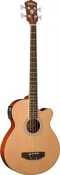 Басс гитара Washburn Acoustic Bass AB5 w/Gigbag