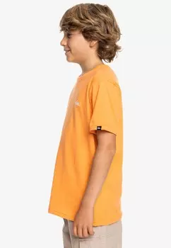 Базовая футболка BASIC Quiksilver, оранжевый
