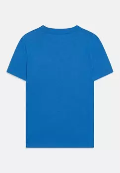 Базовая футболка Icon Tee 3 Pack Abercrombie & Fitch, дворцово-синий/марсала/высокая посадка антрацит