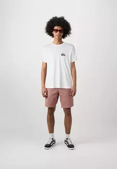 Базовая футболка LOGO UNISEX Quiksilver, белый