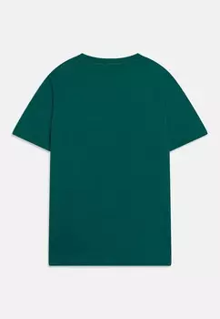 Базовая футболка PLAIN Lyle & Scott, зеленый