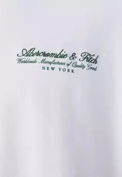 Базовая футболка PREMIUM POLISH LOGO Abercrombie & Fitch, белый