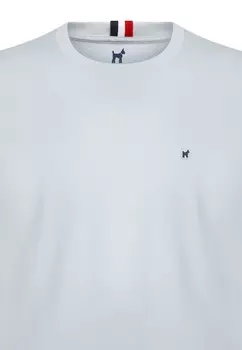 Базовая футболка REEVES Williot, светло-голубой