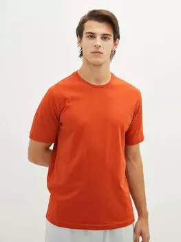 Базовая мужская футболка с круглым вырезом и короткими рукавами LCWAIKIKI Classic