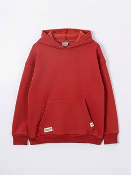 Базовая толстовка с длинными рукавами для мальчиков Ml Kids, коричневый