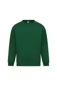 Базовая толстовка Sterling Sweat Absolute Apparel, зеленый