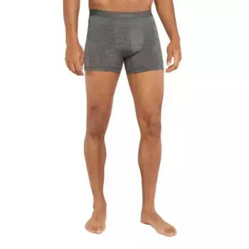 Базовый слой Icebreaker Merino 125 Cool-Lite Anatomica boxers, серый