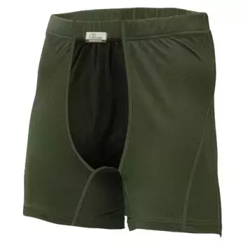 Базовый слой Lasting NICO+ 6290 boxers, зеленый