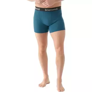 Базовый слой Smartwool Brief boxers, синий