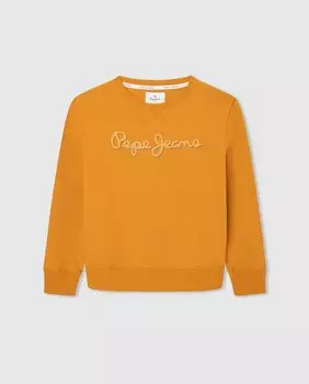 Базовый свитшот для мальчика Pepe Jeans, горчичный