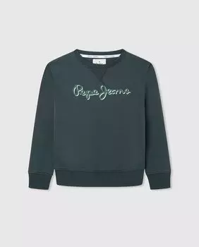 Базовый свитшот для мальчика Pepe Jeans, темно-зеленый