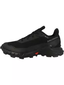 Беговая обувь SALOMON, черный