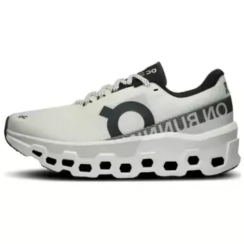 Беговые кроссовки CloudmOnster 2 White Frost женские