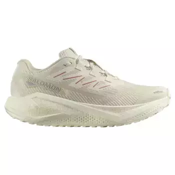 Беговые кроссовки Salomon Aero Blaze 3 GRVL, бежевый