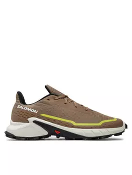 Беговые кроссовки Salomon Alphacross 5, бежевый